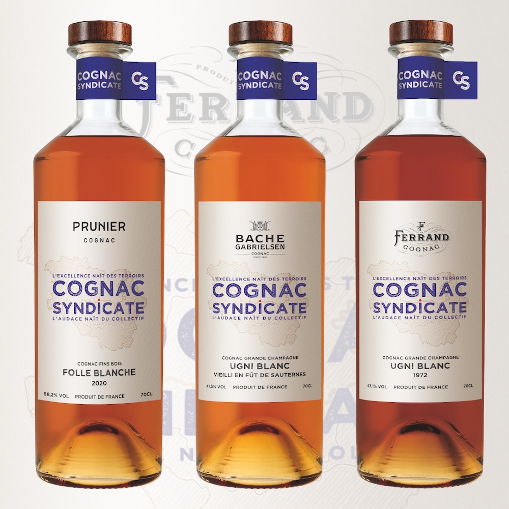 bouteilles Cognac Syndicate